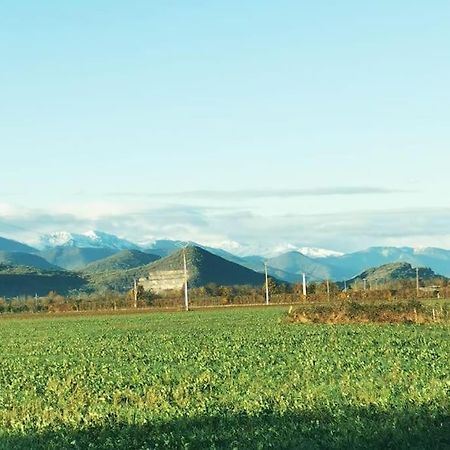 T3 Au Pied Des Pyrenees Apartment Pointis-de-Riviere ภายนอก รูปภาพ